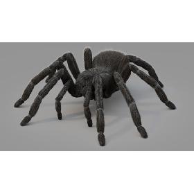3D Tarantula